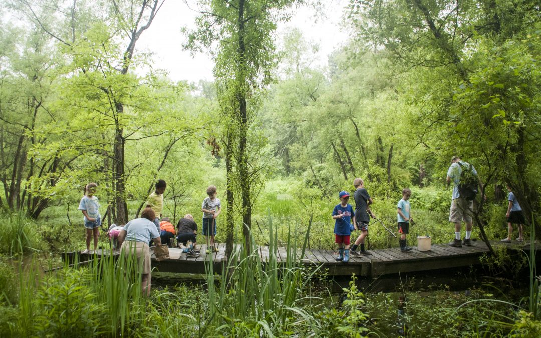 CANCELLED – Ecosystem Explorers Homeschool Workshop