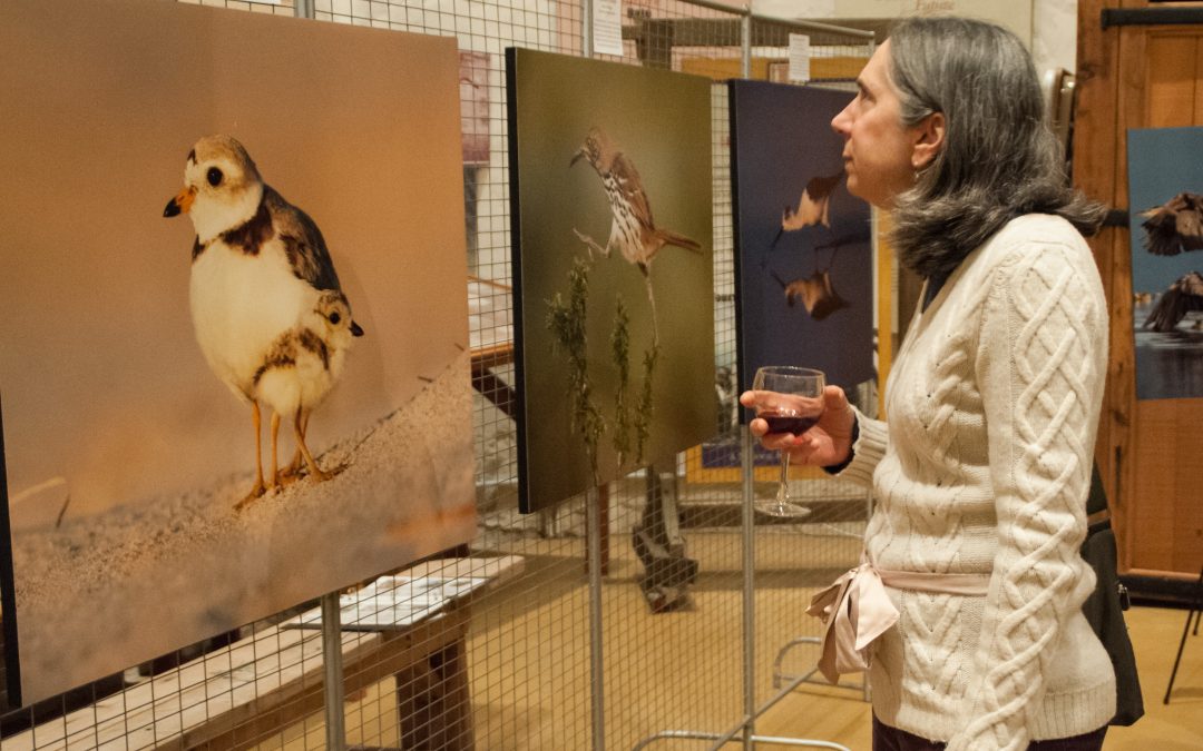 Nat. Audubon Photo Exhibit Opening Reception