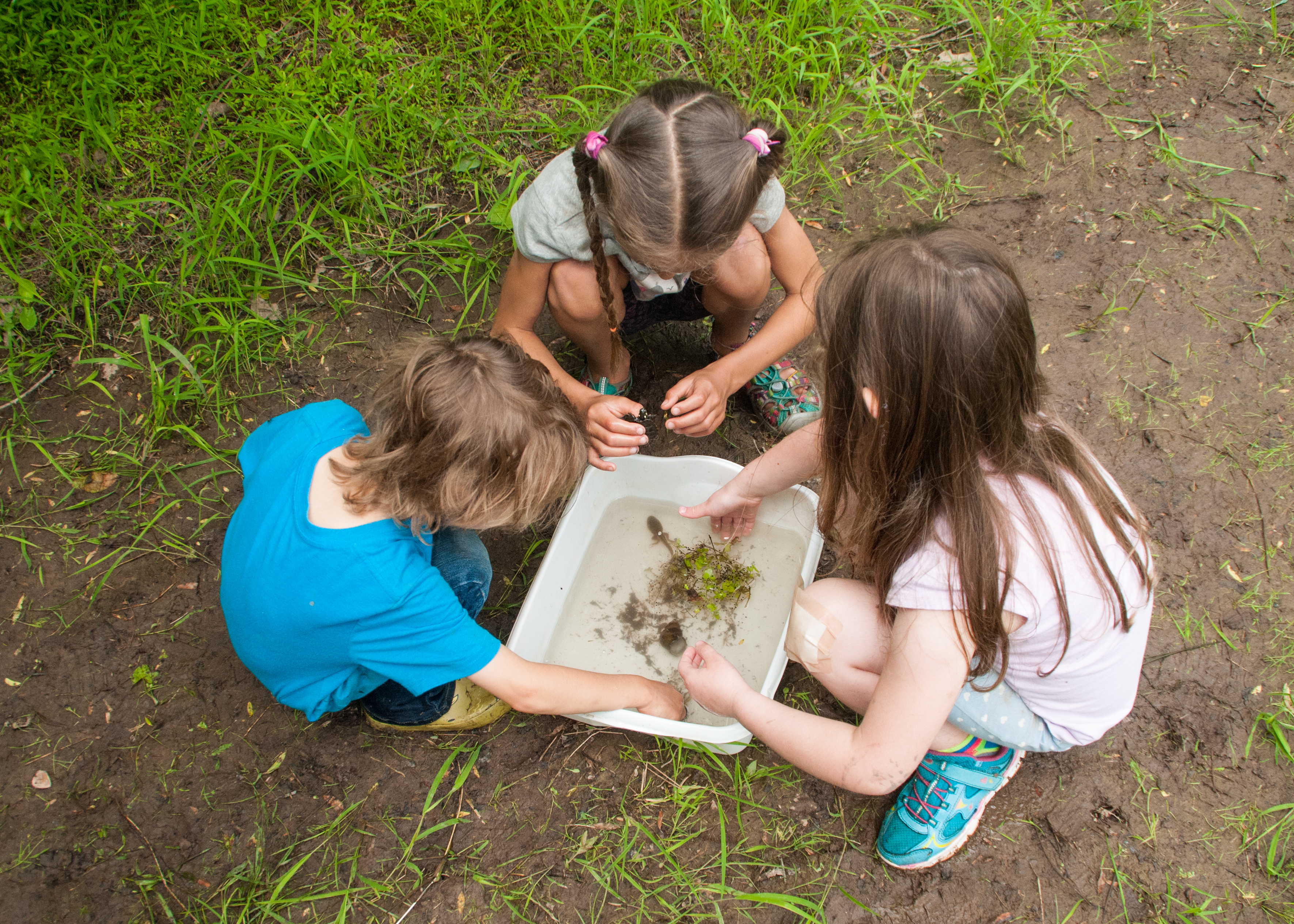 Натуралист. Натуралист образ. Naturalistic Family. Мод Naturalist.