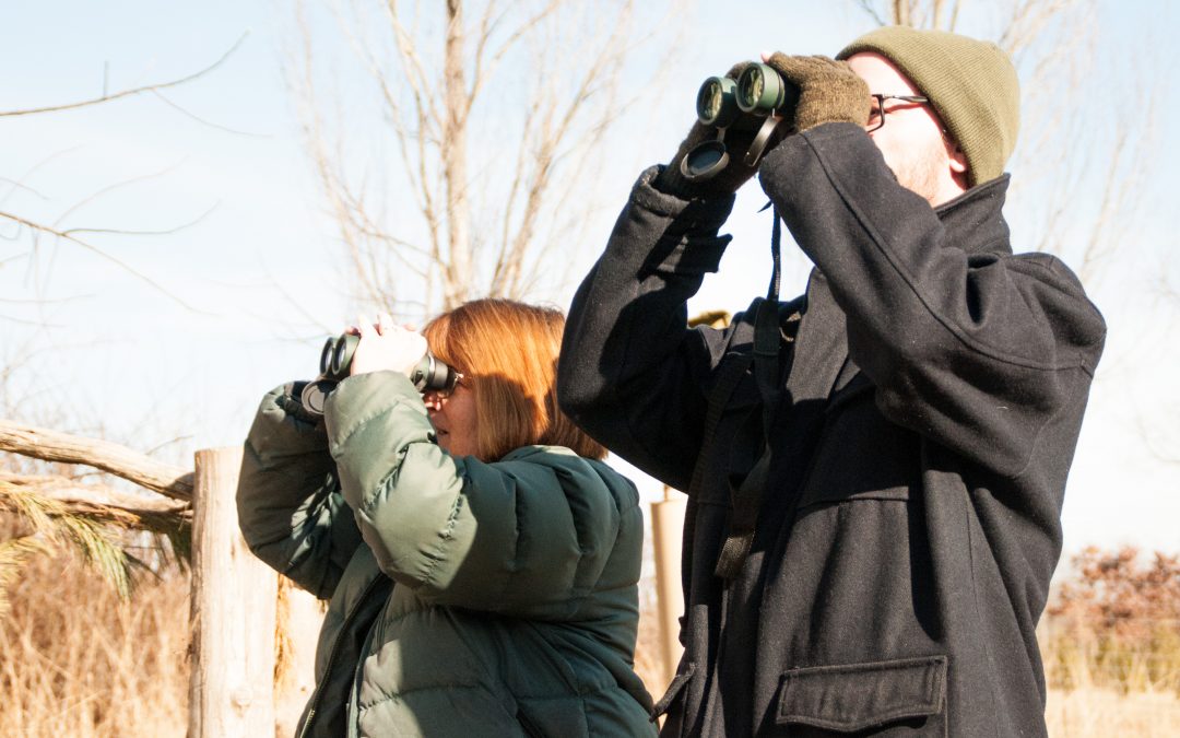 Birding 101 Workshop