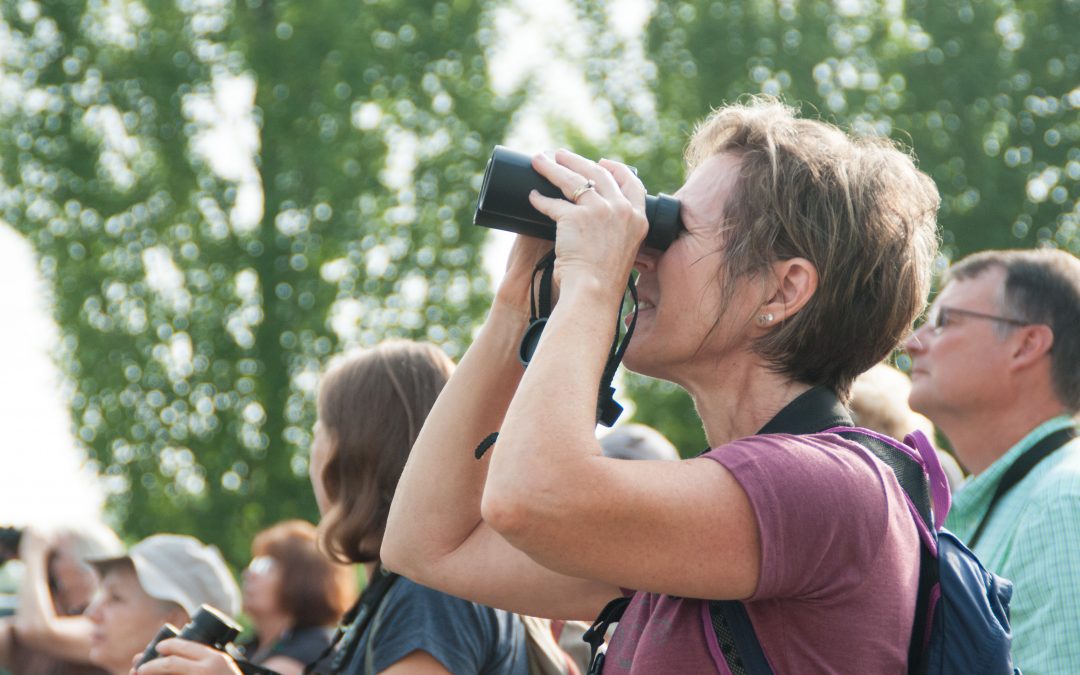 Advanced Birding Workshop