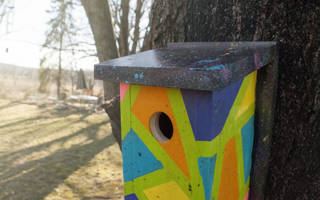 Bird Box Decorating Contest Registration Opens!