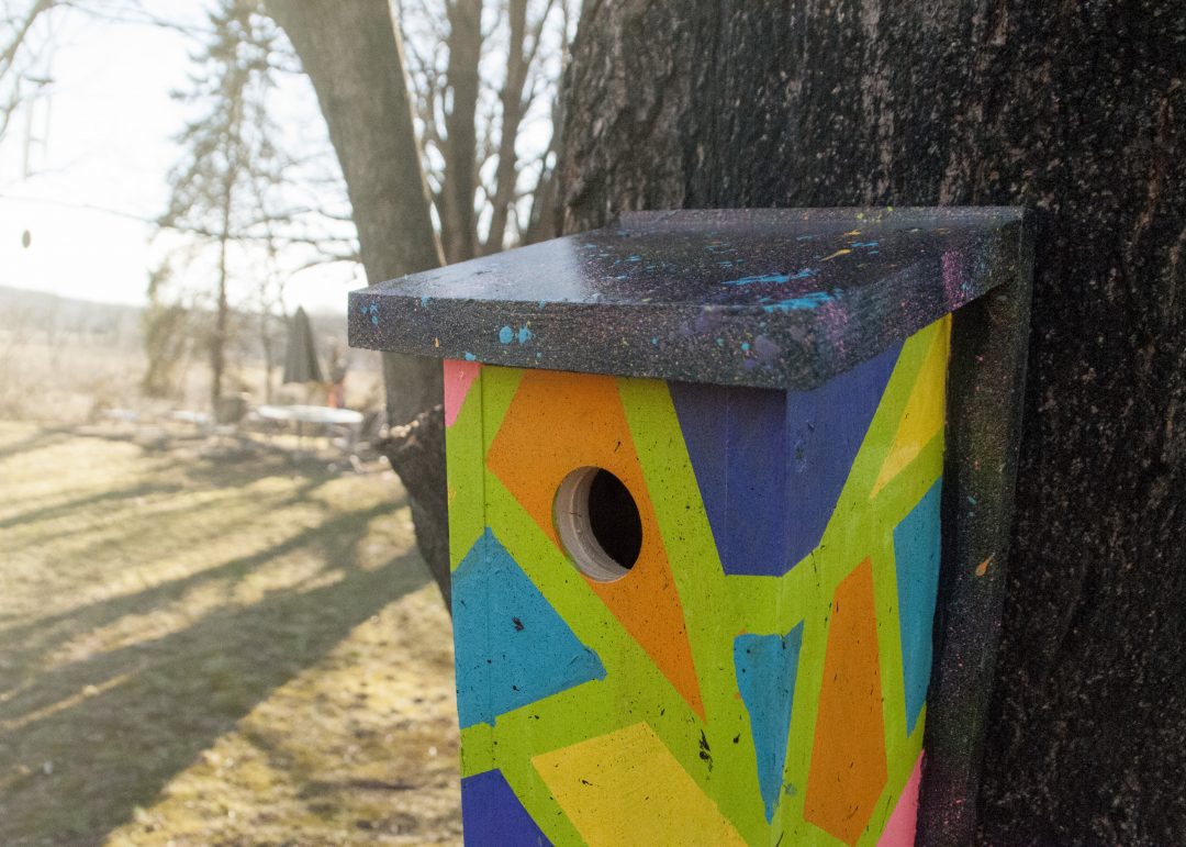 Bird Box Decorating Contest Registration Opens! Bucks County Audubon