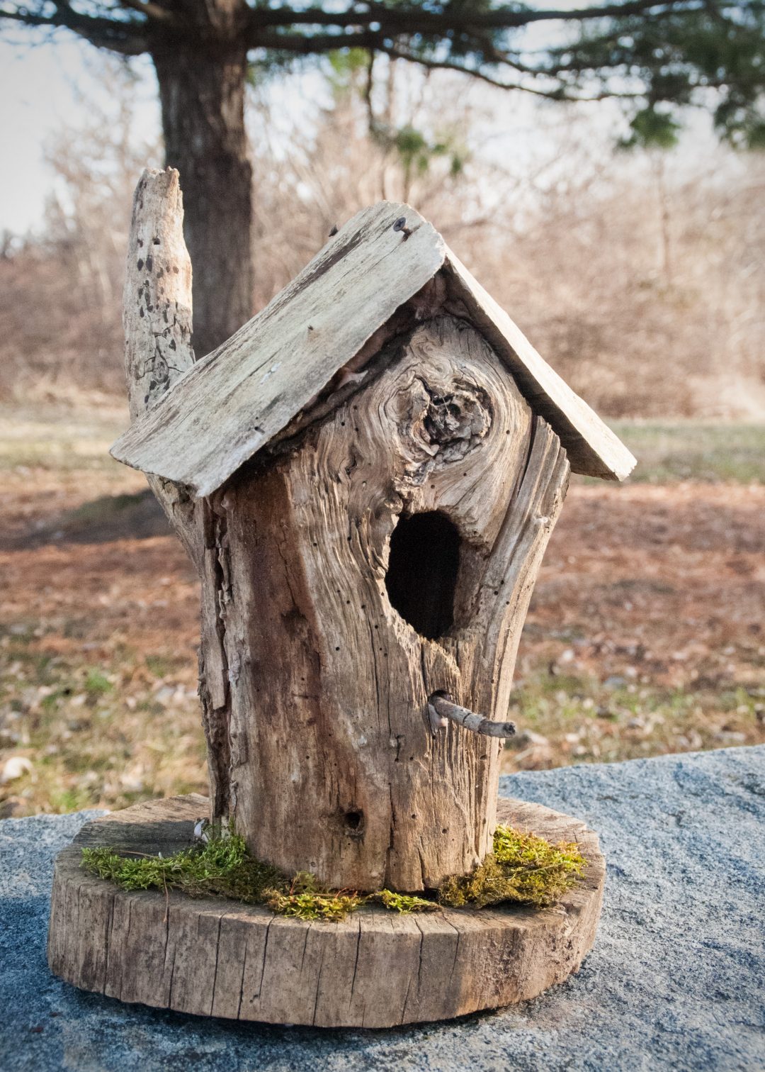 Bird Box Decorating Contest Bucks County Audubon Society
