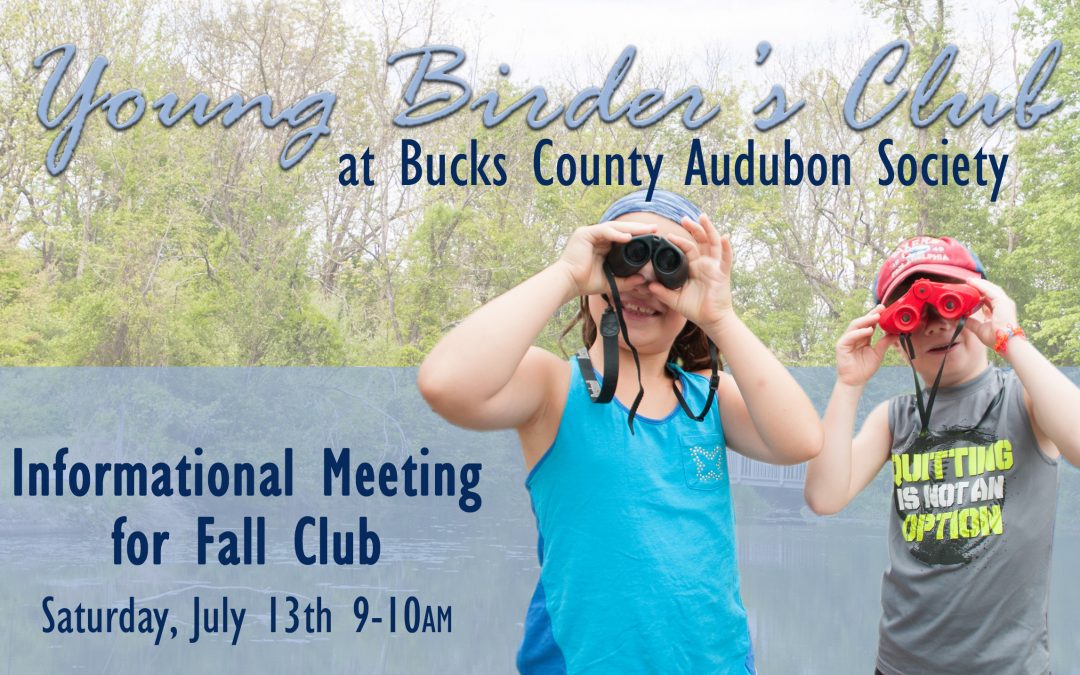 Young Birder’s Club Info Meeting