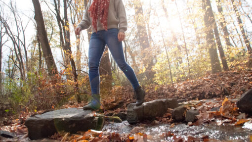 Walking in Nature