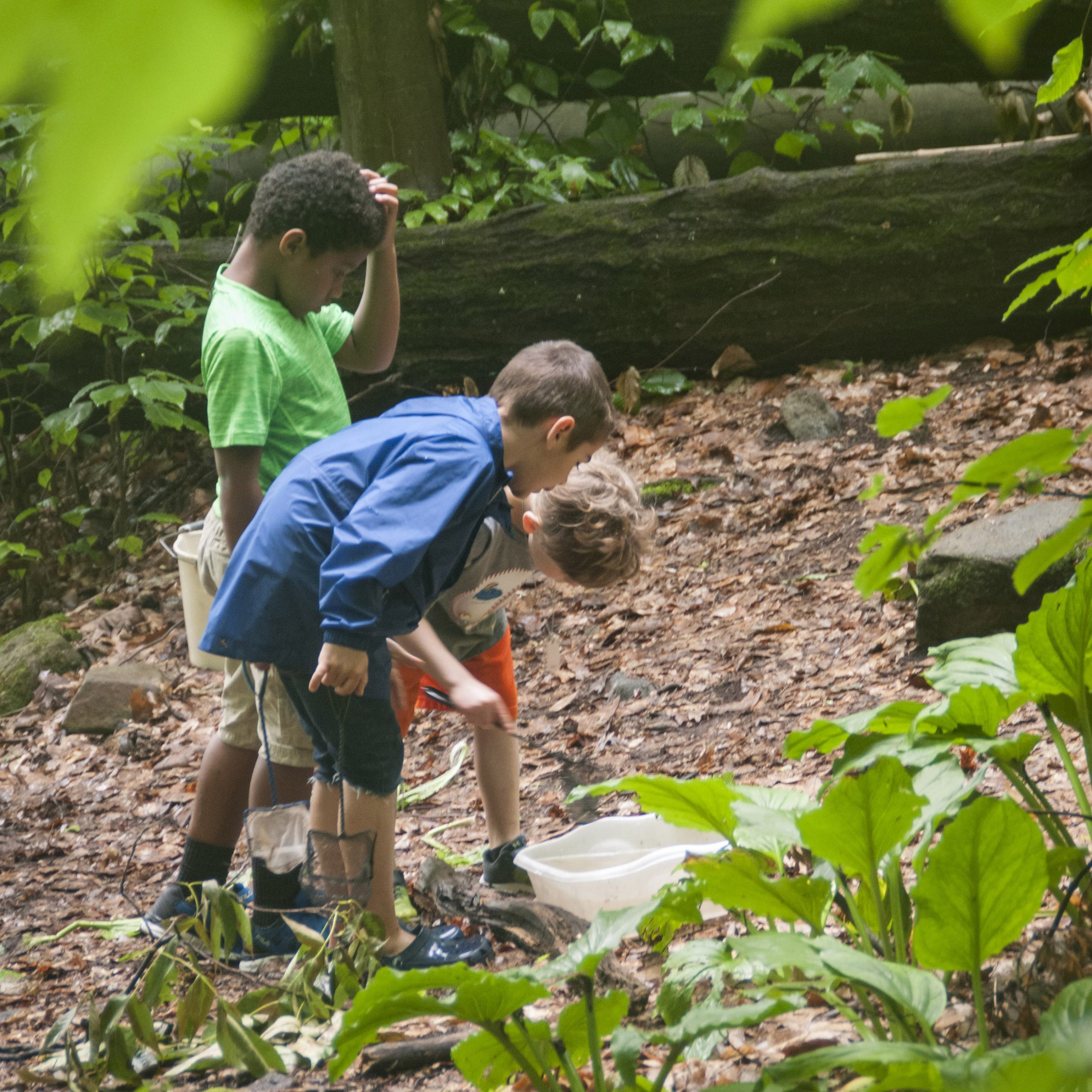 Children in Nature