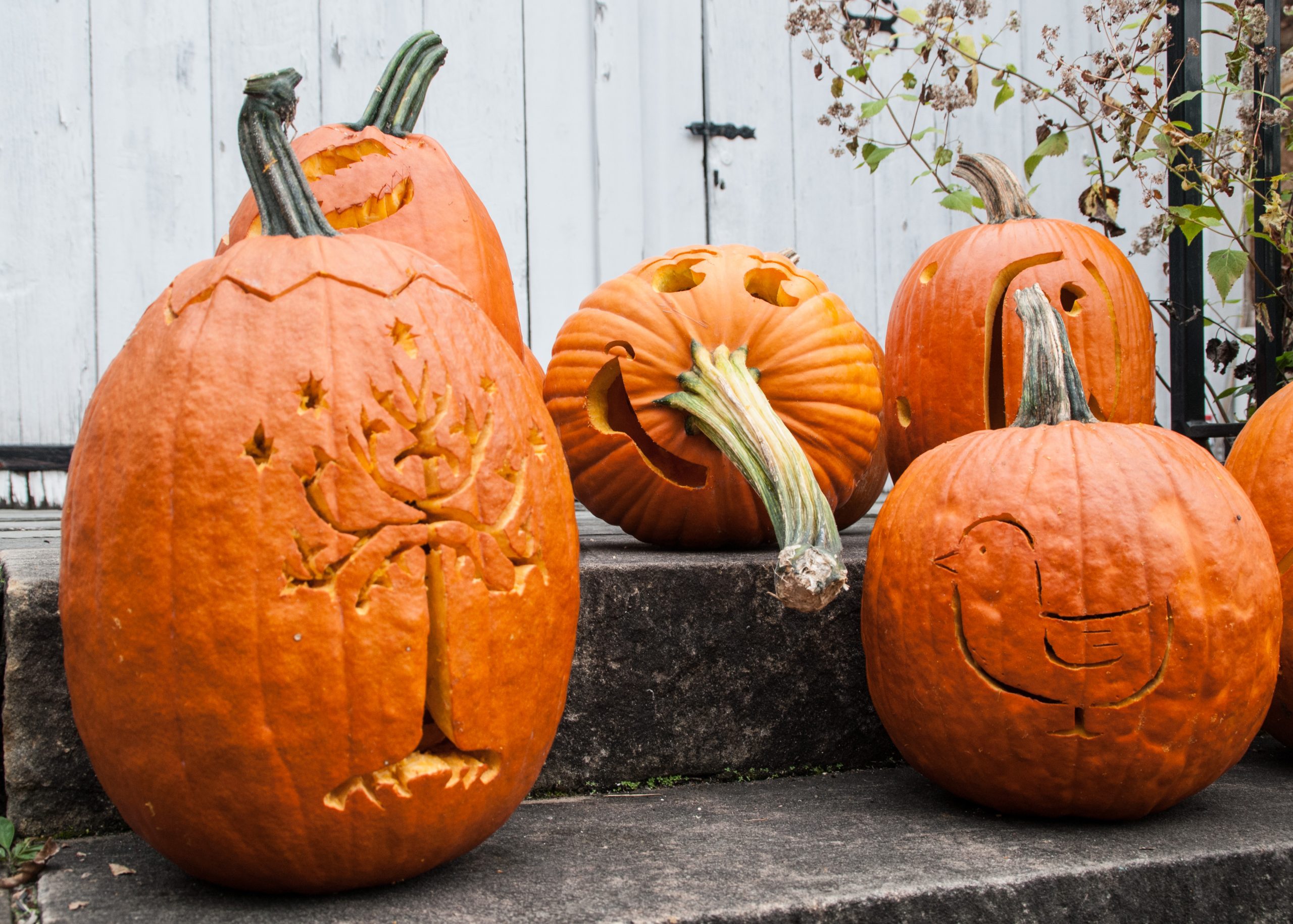 Jack O Lanterns