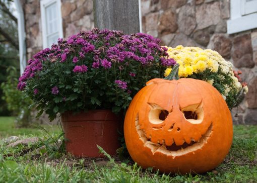 Pumpkin Carving Night 2024