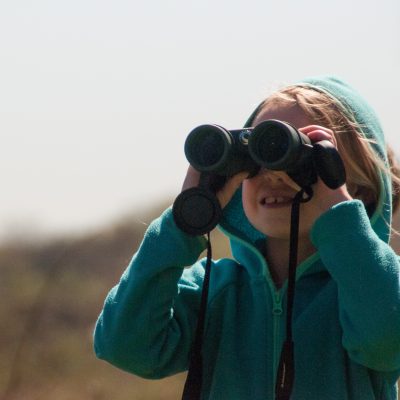 Child bird watching