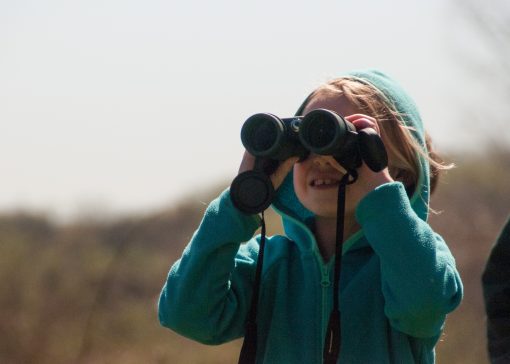 Child bird watching