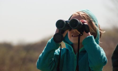 Child bird watching