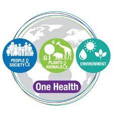 One Health Virtual Webinar Series – “From Planetary Boundaries to Ecosystem Services…”