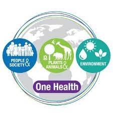 One Health Logo