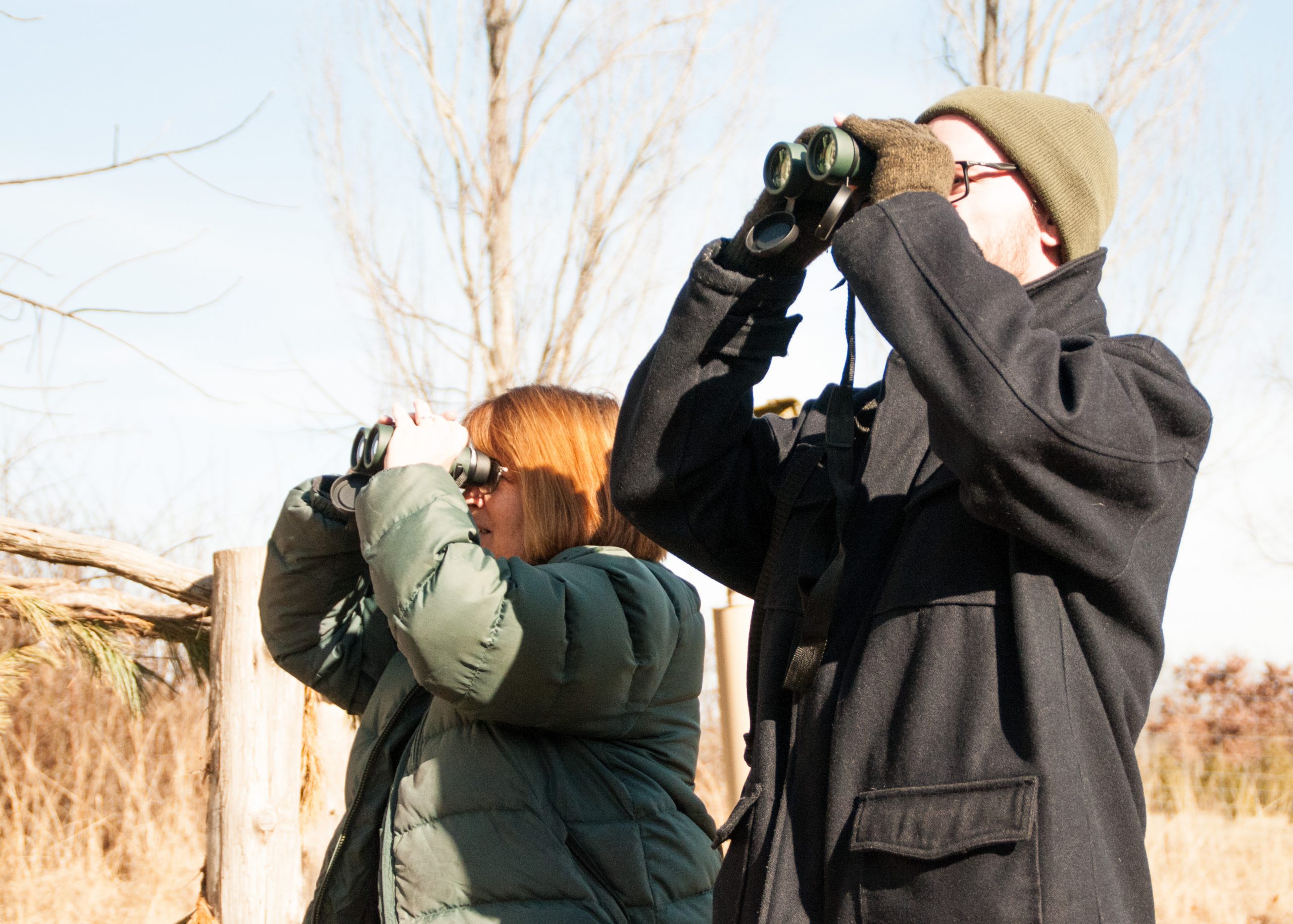 Bird Watchers