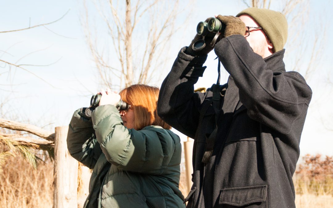 Bird Walk