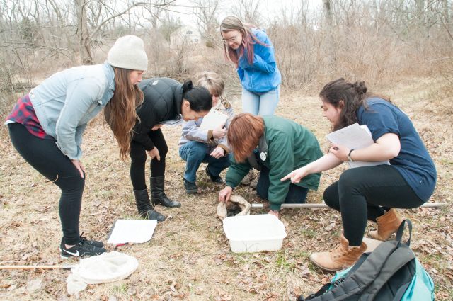 Teacher Naturalist Training