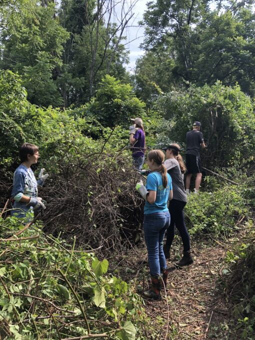 Teen Conservation Corp 2022
