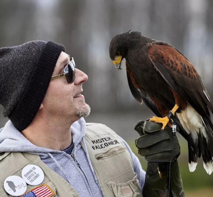 Falconry at Bucks Audubon