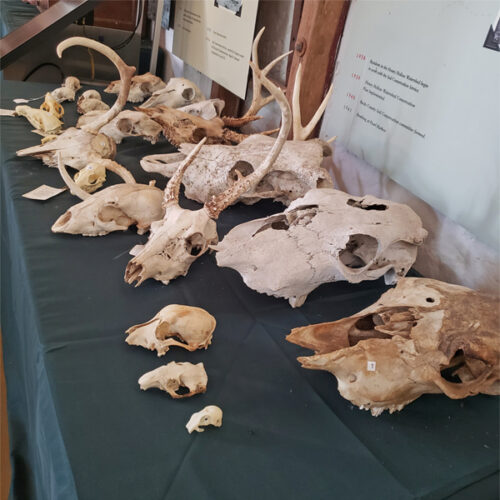 touch table with skulls