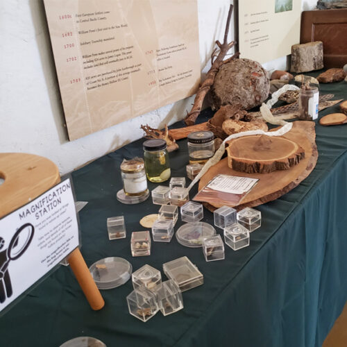 touch table with specimens