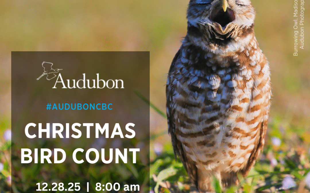 126th Christmas Bird Count