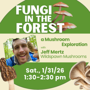 Fungi in the Forest: A Mushroom Exploration with J. Mertz